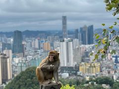 -黔灵山公园