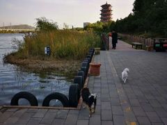 -门城湖公园