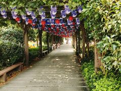 -白马涧龙池景区