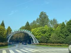 -黄海国家森林公园