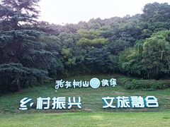 -树山生态村