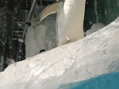 -大连圣亚海洋世界