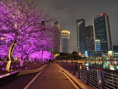 -西北湖绿化广场