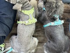 -百花人家(清水镇店)