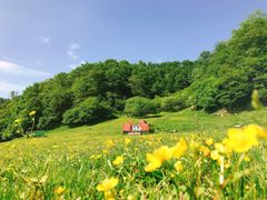 -大水川景区