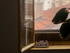 -春风十里咖啡馆
