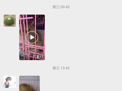 -喜多萌中农锦绣动物医院24H·猫科·牙科MRI·CT