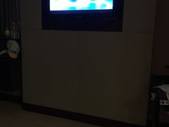 -南桥绿地铂骊酒店