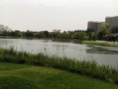 -西海子公园