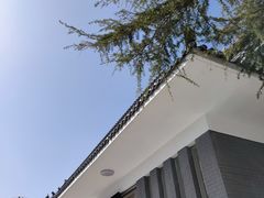 -凤凰小镇·徐州特色菜(凤凰岭店)