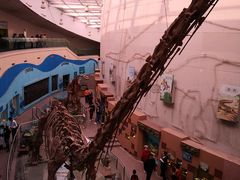 -陕西自然博物馆