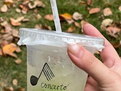 -concerto协奏曲咖啡店