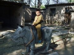 -东方巨龟苑景区