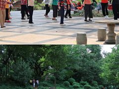 -晓港公园