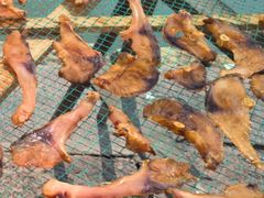 -东钱湖旅游度假区