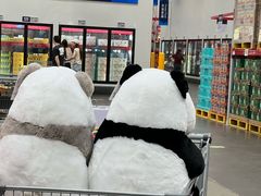 -山姆会员商店(杨桥西路店)