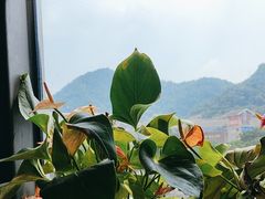 -粤点越有·茶点·粤菜(樵岭国际店)