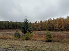 -塞罕坝国家级自然保护区