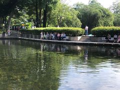 -晓港公园