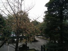 -成都七中(林荫校区)