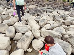 -吴淞炮台湾湿地森林公园烧烤区