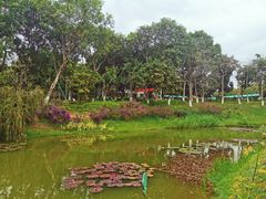 -东莞植物园