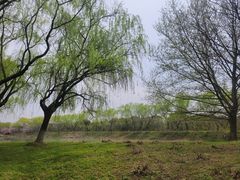 -苏州太湖国家湿地公园