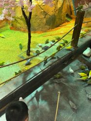 -酷嗒动物文化乐园(cutezoo西溪乐天城店)