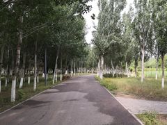 -东郊湿地公园