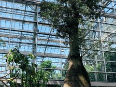 -南山植物园