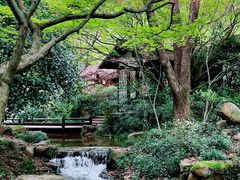 -中国茶叶博物馆(双峰馆区)