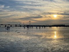 -南汇新城海滩