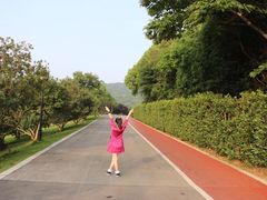 -龙寺生态园
