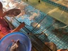 -渔家火锅·海鲜自助餐·演艺(亚龙湾天域酒店)