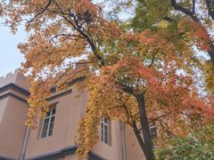 -南通博物苑-崇川人民公园