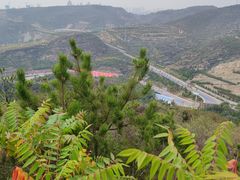 -五龙城郊森林公园