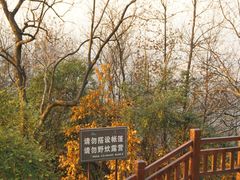 -岳麓山风景名胜区