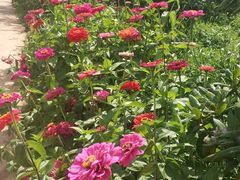 -名花谷生态庄园