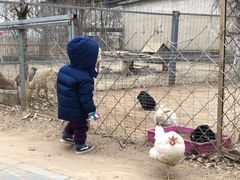 -1982农场