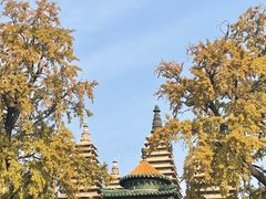 -北京石刻艺术博物馆(五塔寺)