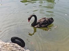 -石家庄市动物园