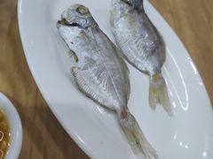 -长平肥姐白粥·海鲜打冷