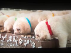 -中影国际影城(东方新天地CINITY店)