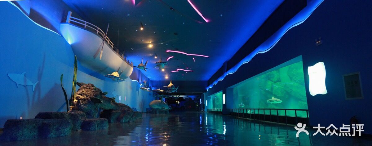 泉城海洋极地世界图片 - 第6张