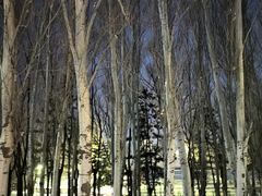 -吉林大学(前卫南区)
