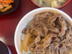 -食其家·牛丼咖喱(金桥国际店)