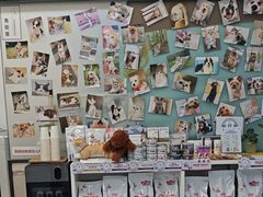 -爱妮康宠物医院·干细胞免疫细胞·肿瘤·心脏(张江店)