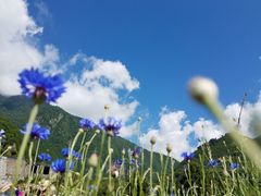 -孟屯河谷景区