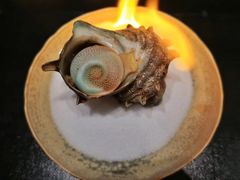 -橼舍鮨青木