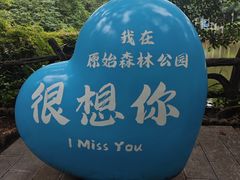 -西双版纳原始森林公园